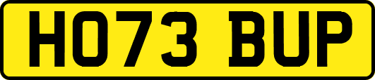 HO73BUP