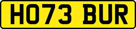 HO73BUR