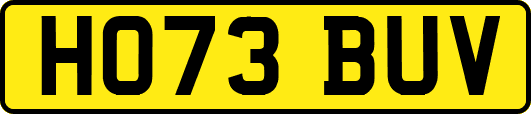 HO73BUV