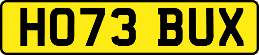 HO73BUX