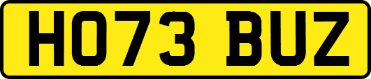 HO73BUZ