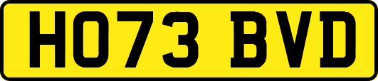 HO73BVD