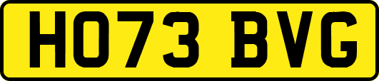 HO73BVG