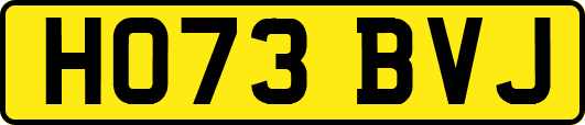 HO73BVJ