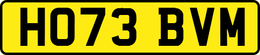 HO73BVM