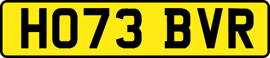 HO73BVR