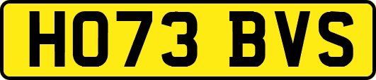 HO73BVS
