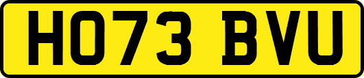 HO73BVU