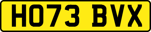 HO73BVX
