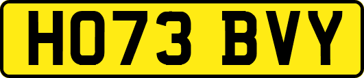 HO73BVY