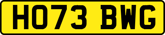 HO73BWG