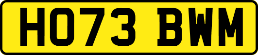 HO73BWM