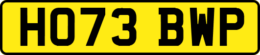 HO73BWP