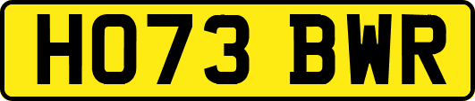 HO73BWR
