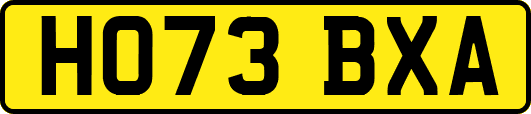 HO73BXA