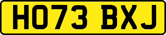 HO73BXJ