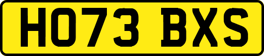 HO73BXS