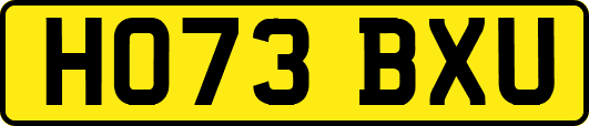 HO73BXU