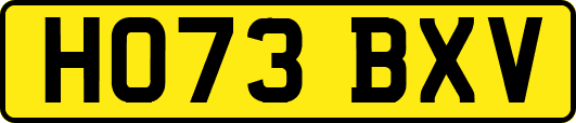 HO73BXV