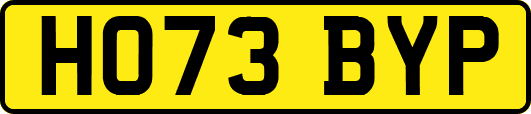 HO73BYP