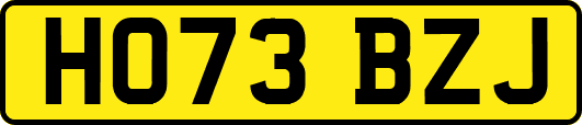 HO73BZJ