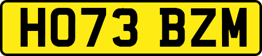 HO73BZM