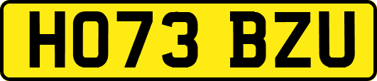 HO73BZU