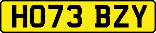 HO73BZY