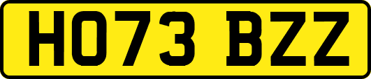 HO73BZZ
