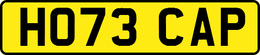 HO73CAP