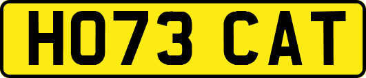 HO73CAT