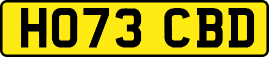 HO73CBD