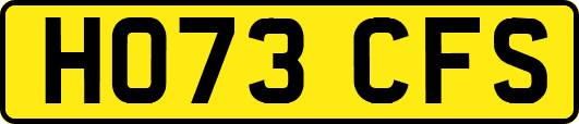 HO73CFS