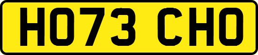 HO73CHO