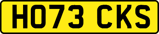 HO73CKS