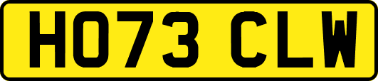 HO73CLW