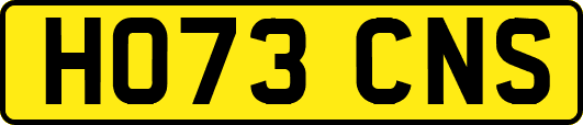 HO73CNS