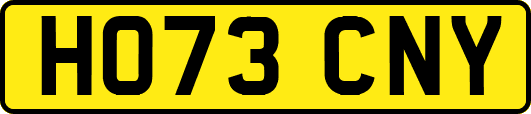 HO73CNY