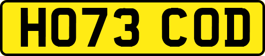 HO73COD