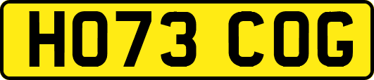 HO73COG