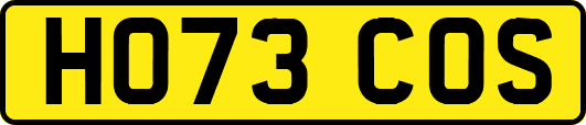 HO73COS