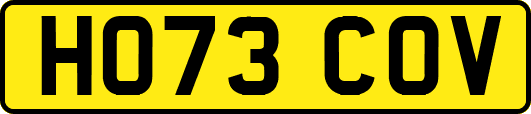 HO73COV