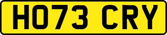 HO73CRY