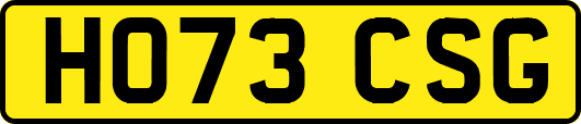 HO73CSG