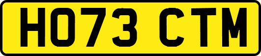 HO73CTM