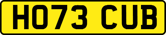 HO73CUB