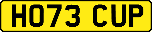 HO73CUP