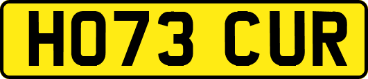 HO73CUR