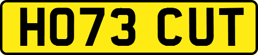 HO73CUT
