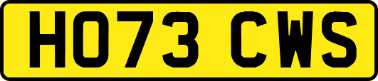 HO73CWS